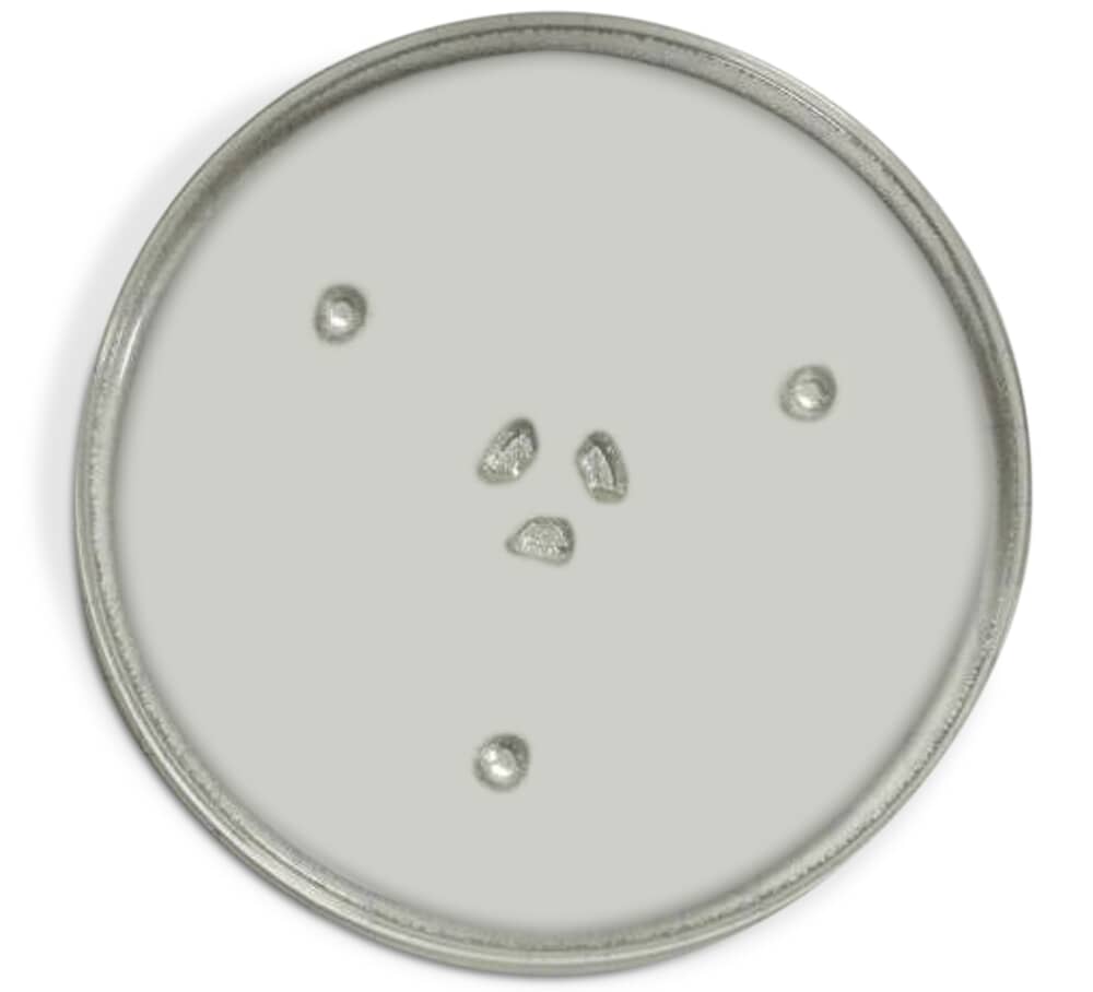 Plateau tournant en verre pour micro-ondes Samsung MG11H2020CT/AA