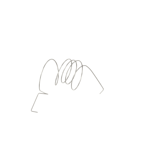 6107-001164 Spring-Ts