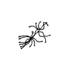 DE96-01056E ASSEMBLY MAIN WIRE HARNESS